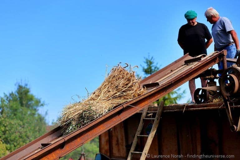 Wheat up the slope