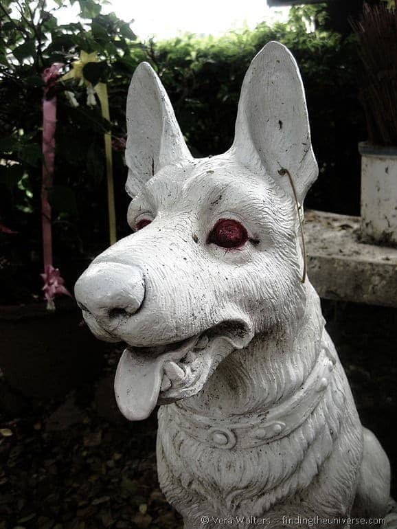 Dog statue Thailand