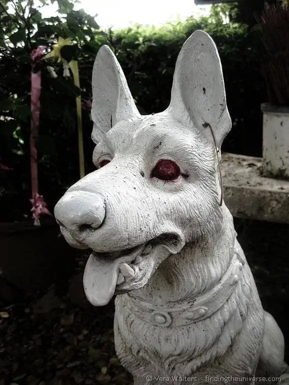 Dog statue Thailand Dog statue Thailand
