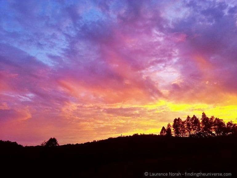 Sunset trees