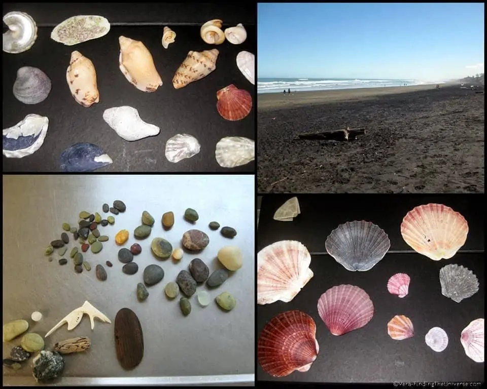 Shells and Stones Muriwai New Zealand Shells and Stones Muriwai New Zealand