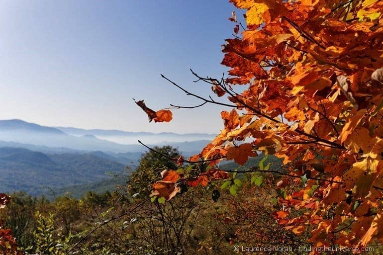 Autumnal leaves Italy 2