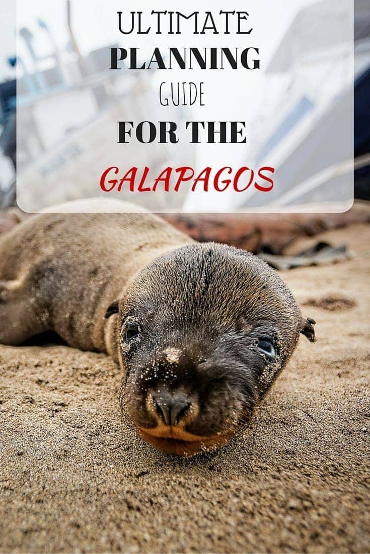 A detailed guide to preparing and planning for a Galapagos trip.