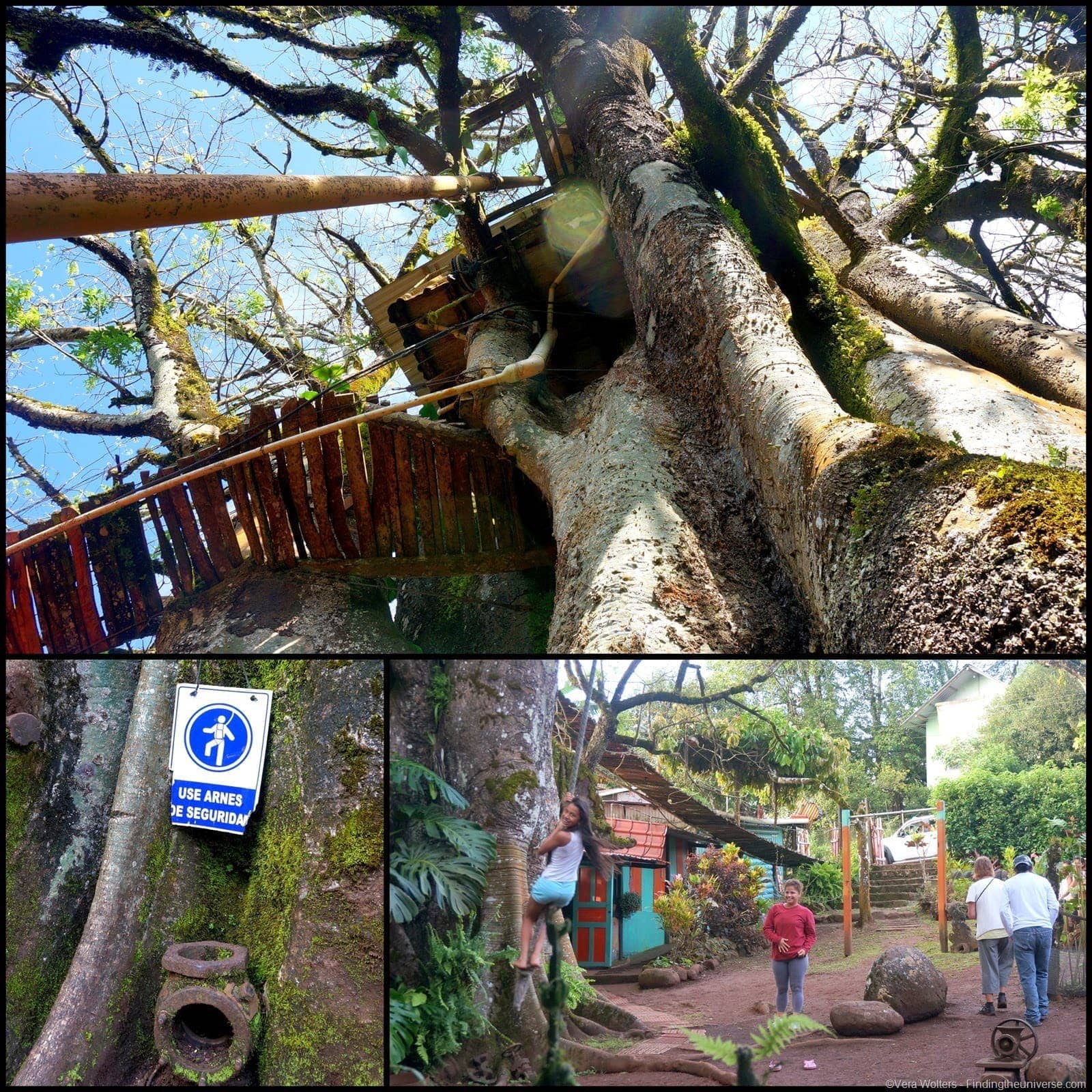 And Tarzan Was Jealous: Treehouse Living In The Galapagos