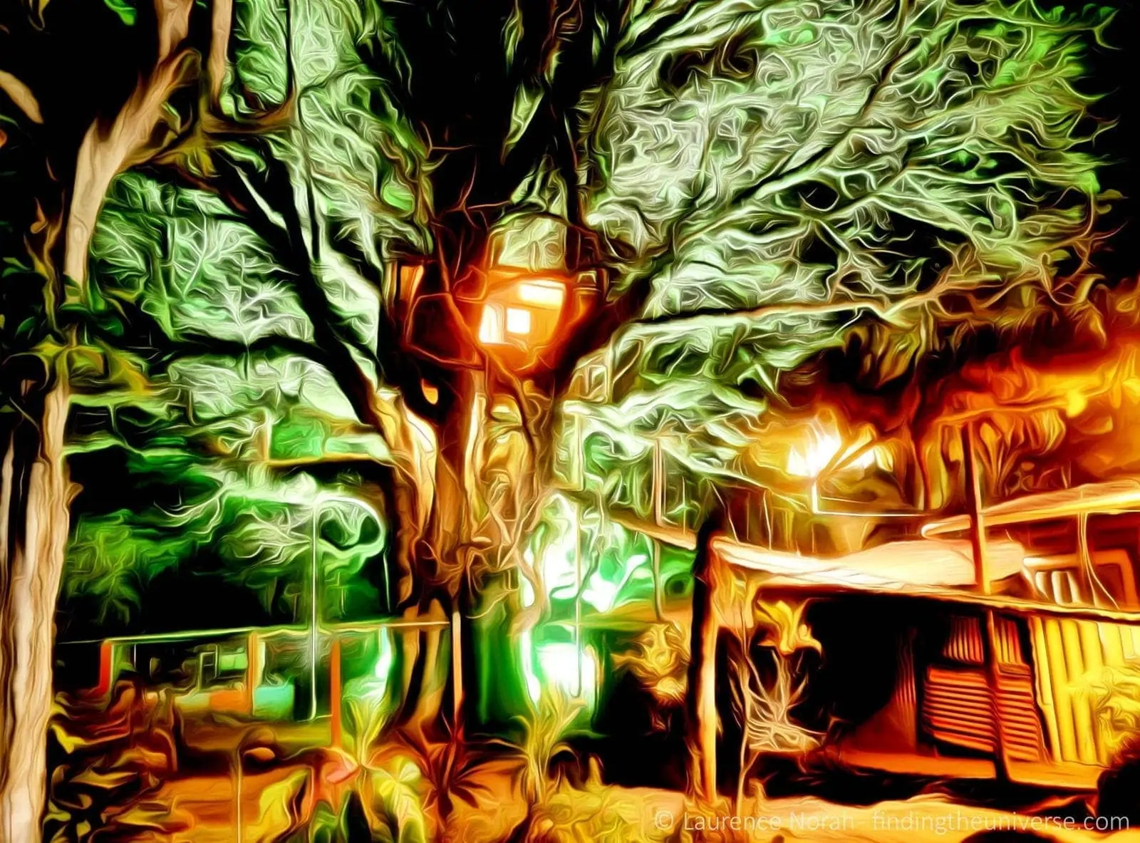 treehouse at night San Cristobal Island Galagagos Ecuador dream scaled 2