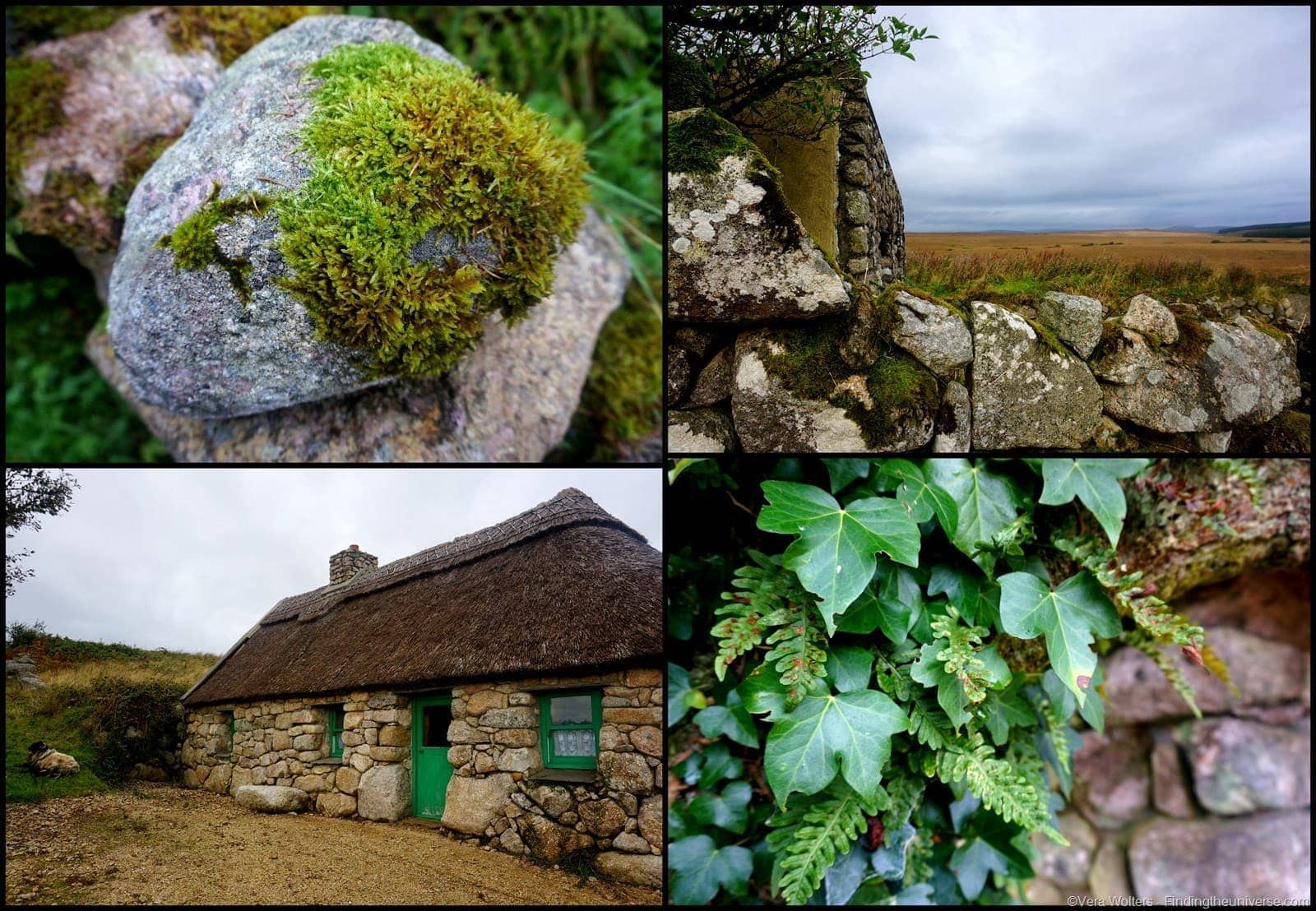 Learning about Irish Culture at Cnoc Suain