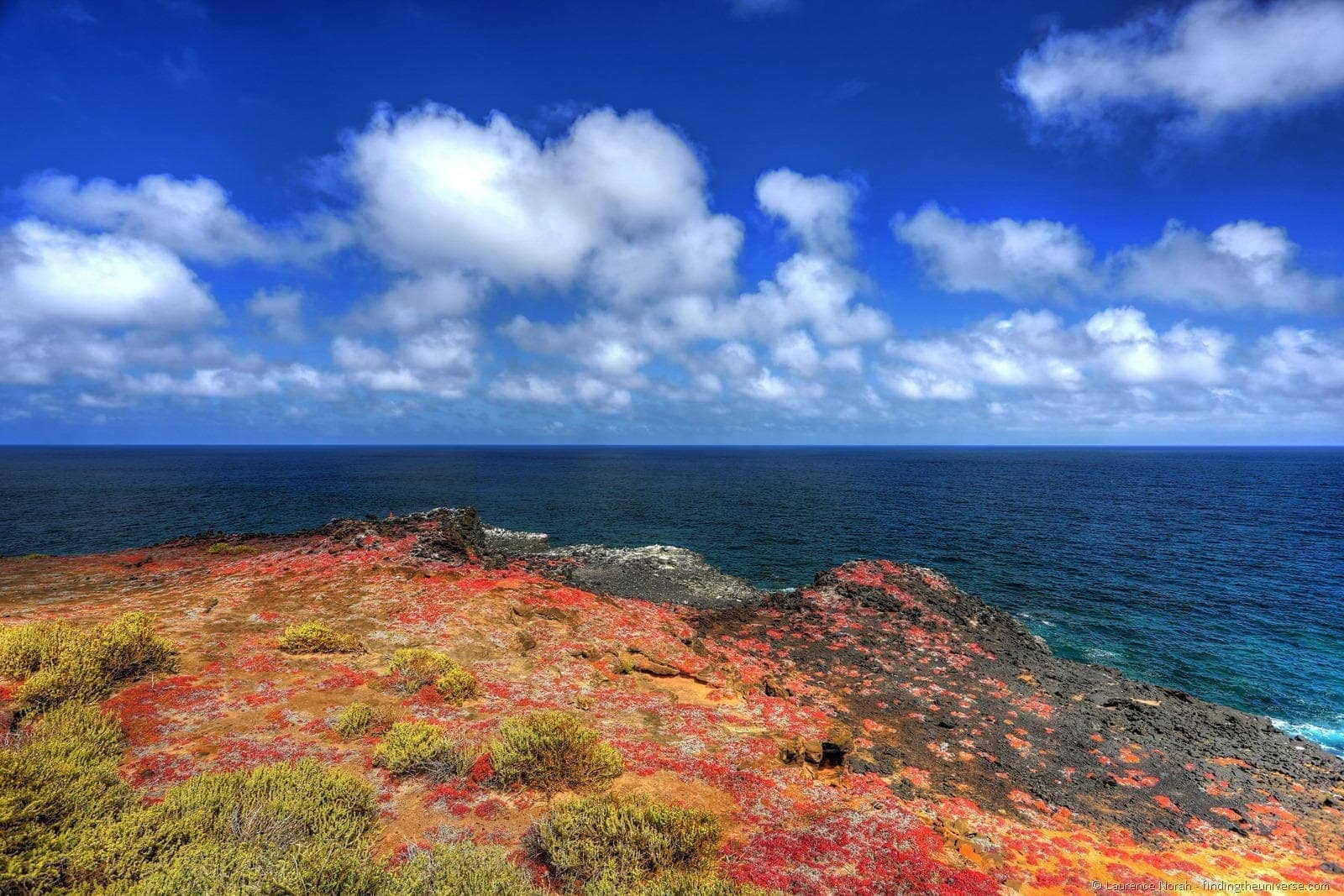 Colours of Punta Pitt Galapagos San Cristobal 2