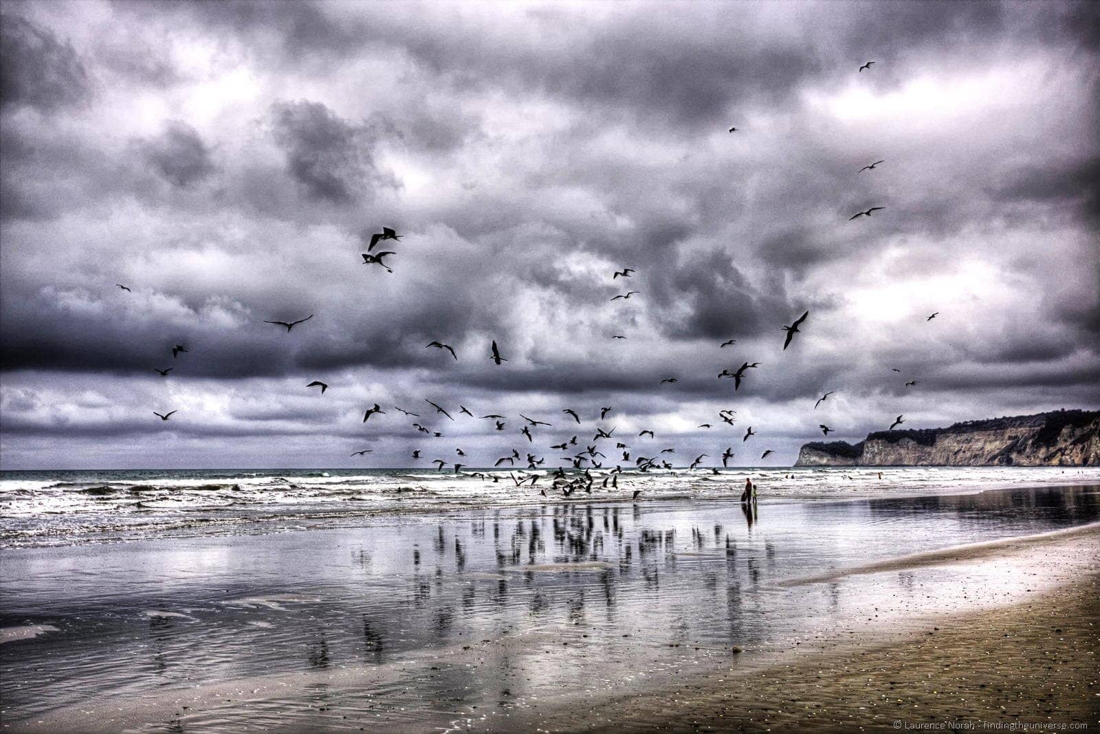 Frigate birds on beach Canoa people standing clouds