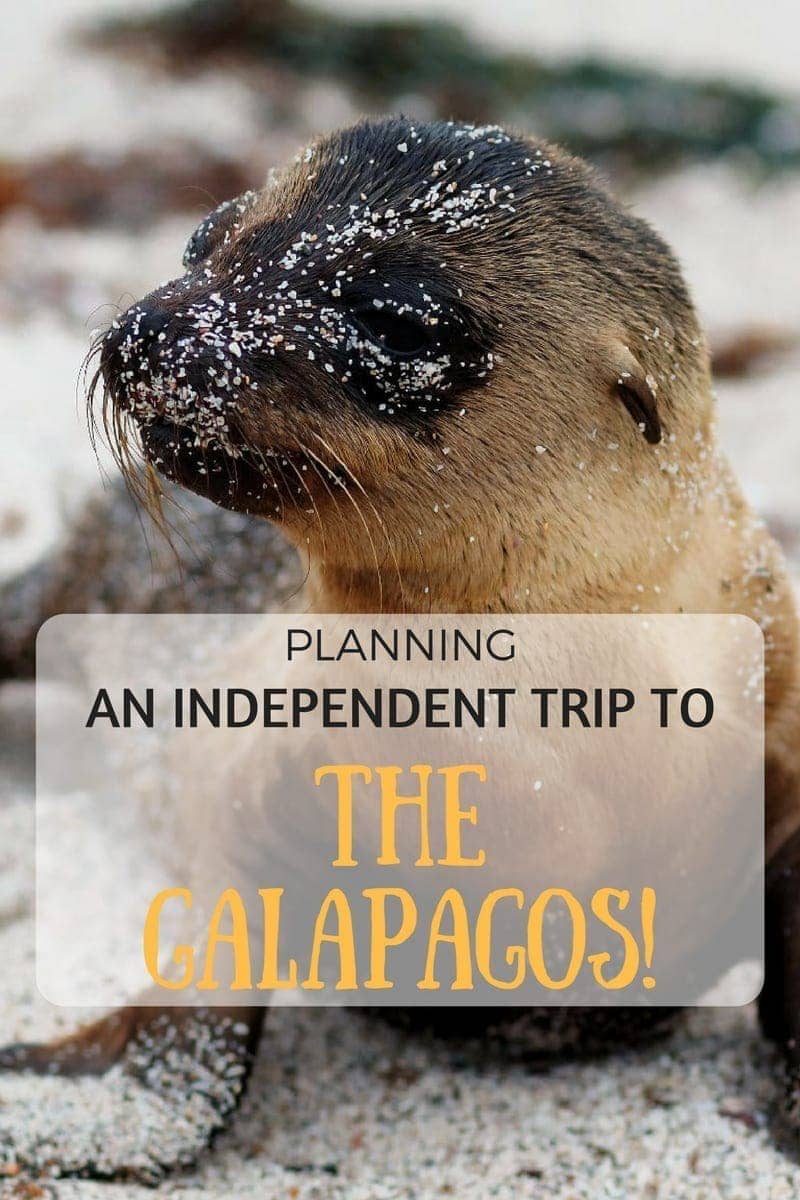 San Cristobal in the Galapagos is the perfect island for the independent traveller looking to explore the Galapagos on their own. This guide will help you plan your budget, figure out what to see and give tips on getting there, away and around. Everything you need to know in one handy place!