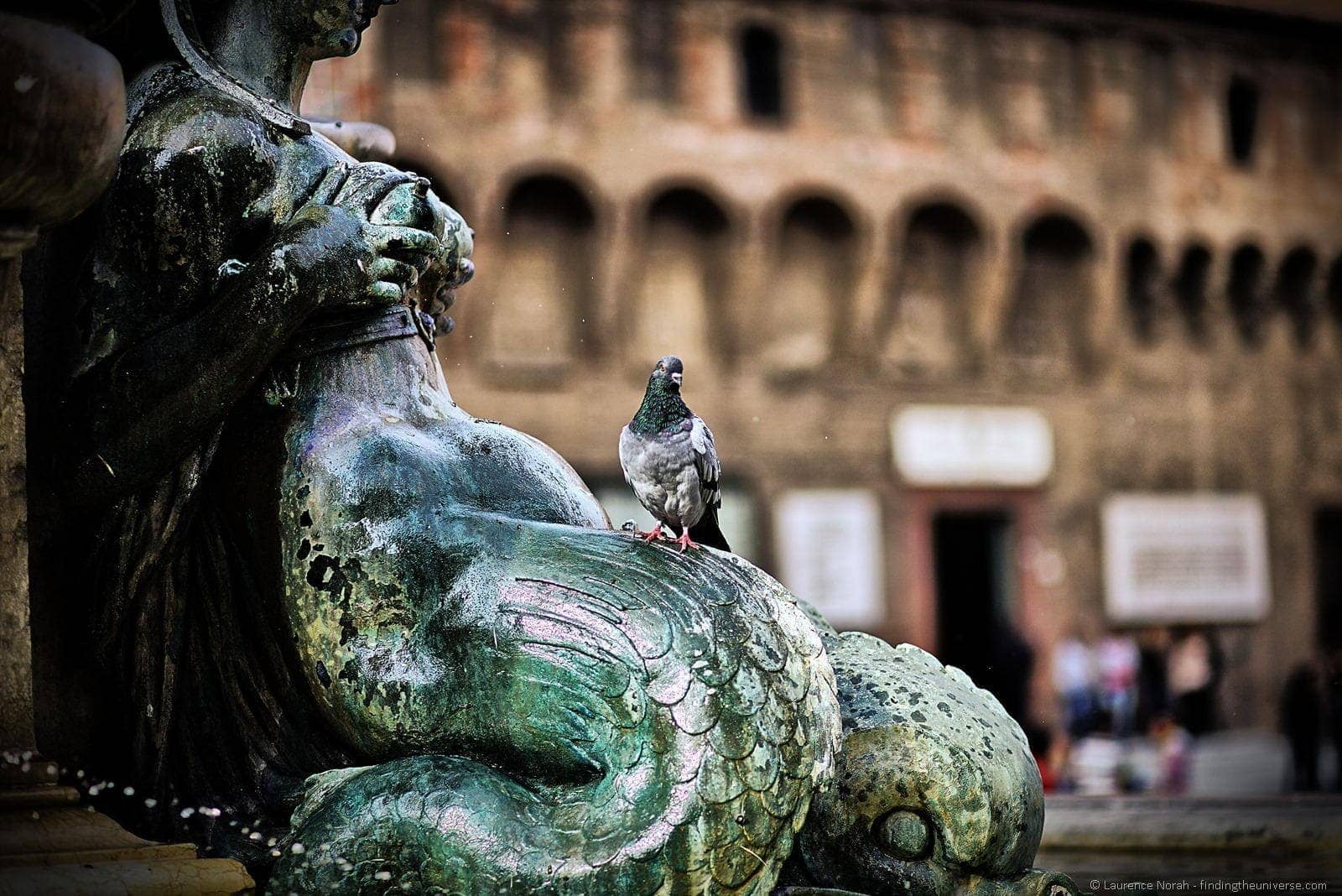 Bologna-statue-pigeon-12
