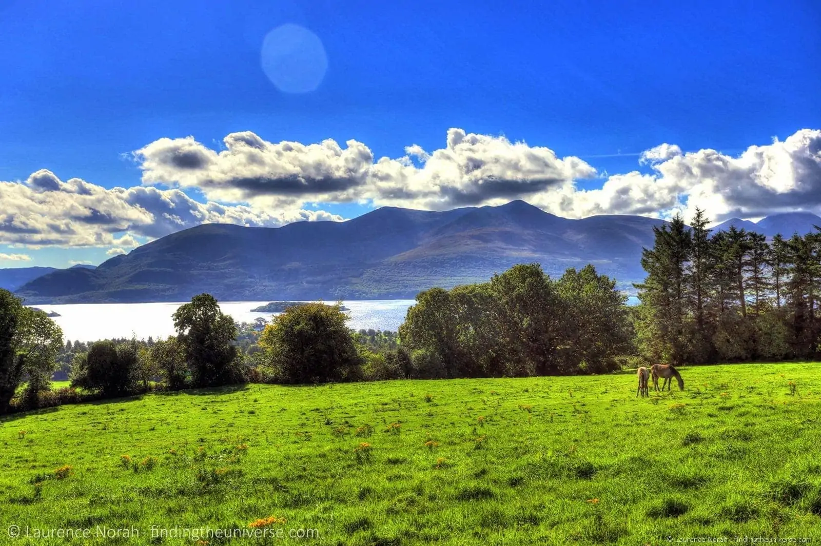 horses in field Ireland lakes mountain clouds 2 scaled