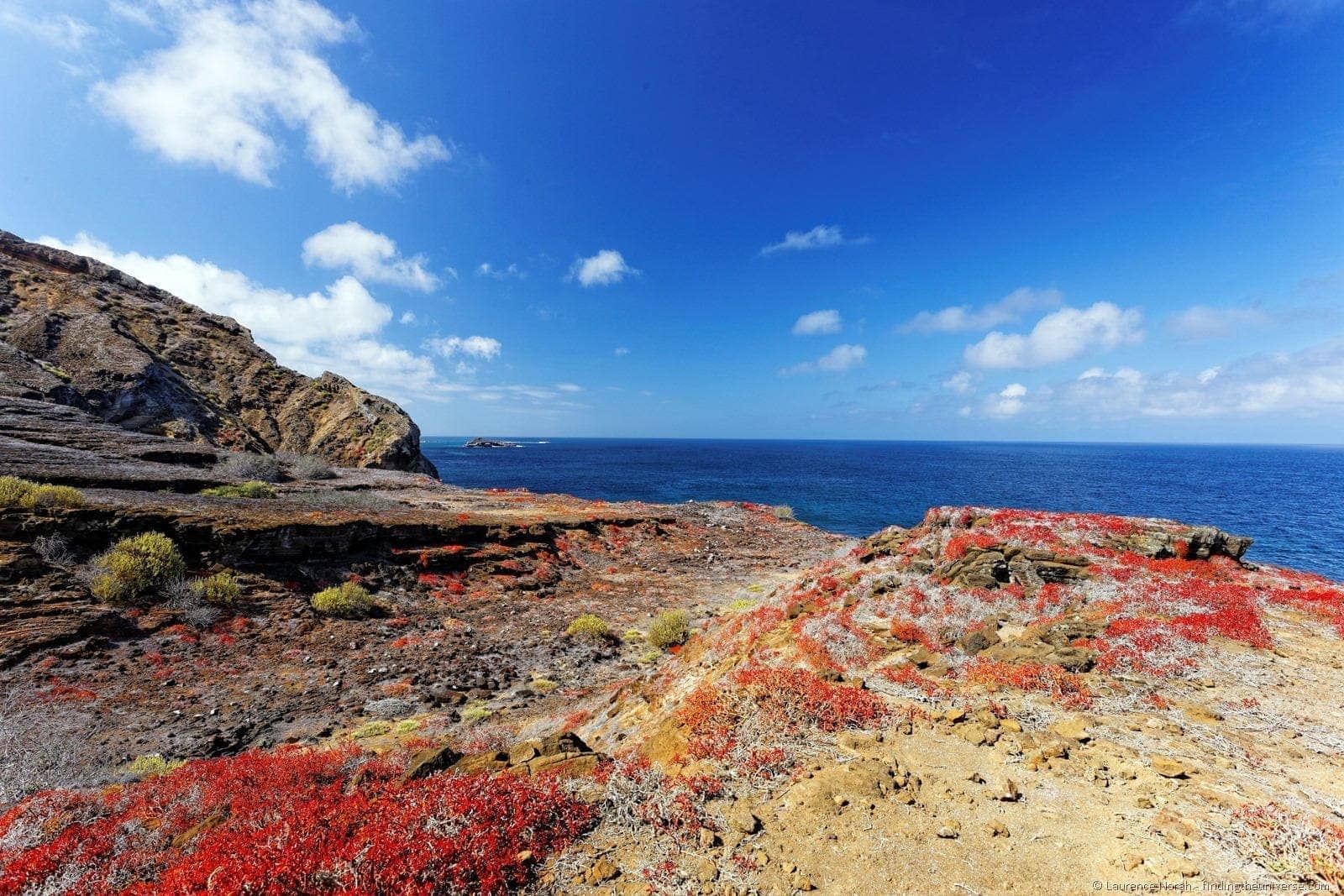 Colours of Punta Pitt Galapagos San Cristobal
