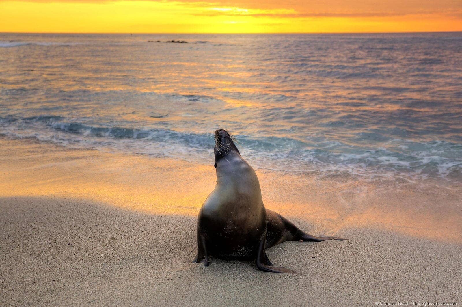 10 Things I didn’t know about the Galapagos