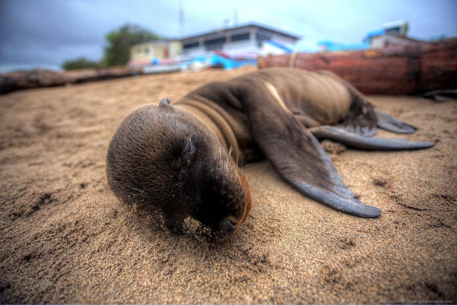 Preparing and Planning a Galapagos Trip