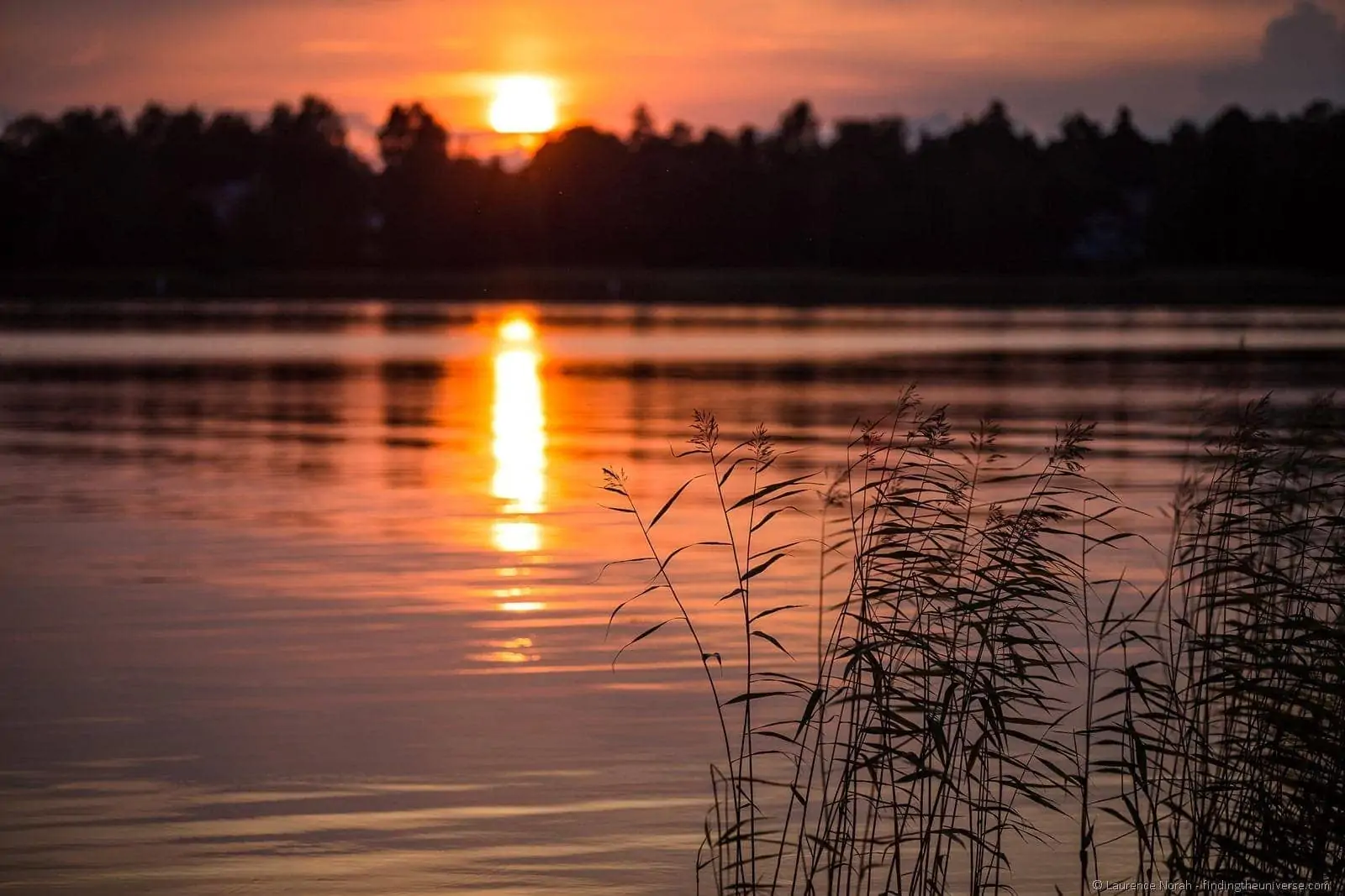 sunset reeds Finland