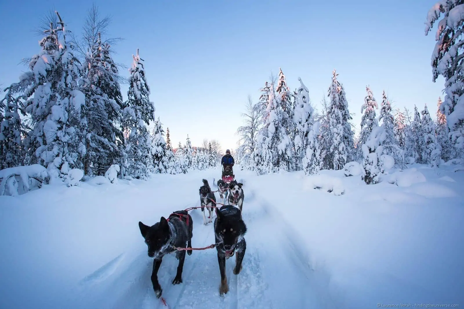 Husky sledding in Lapland
