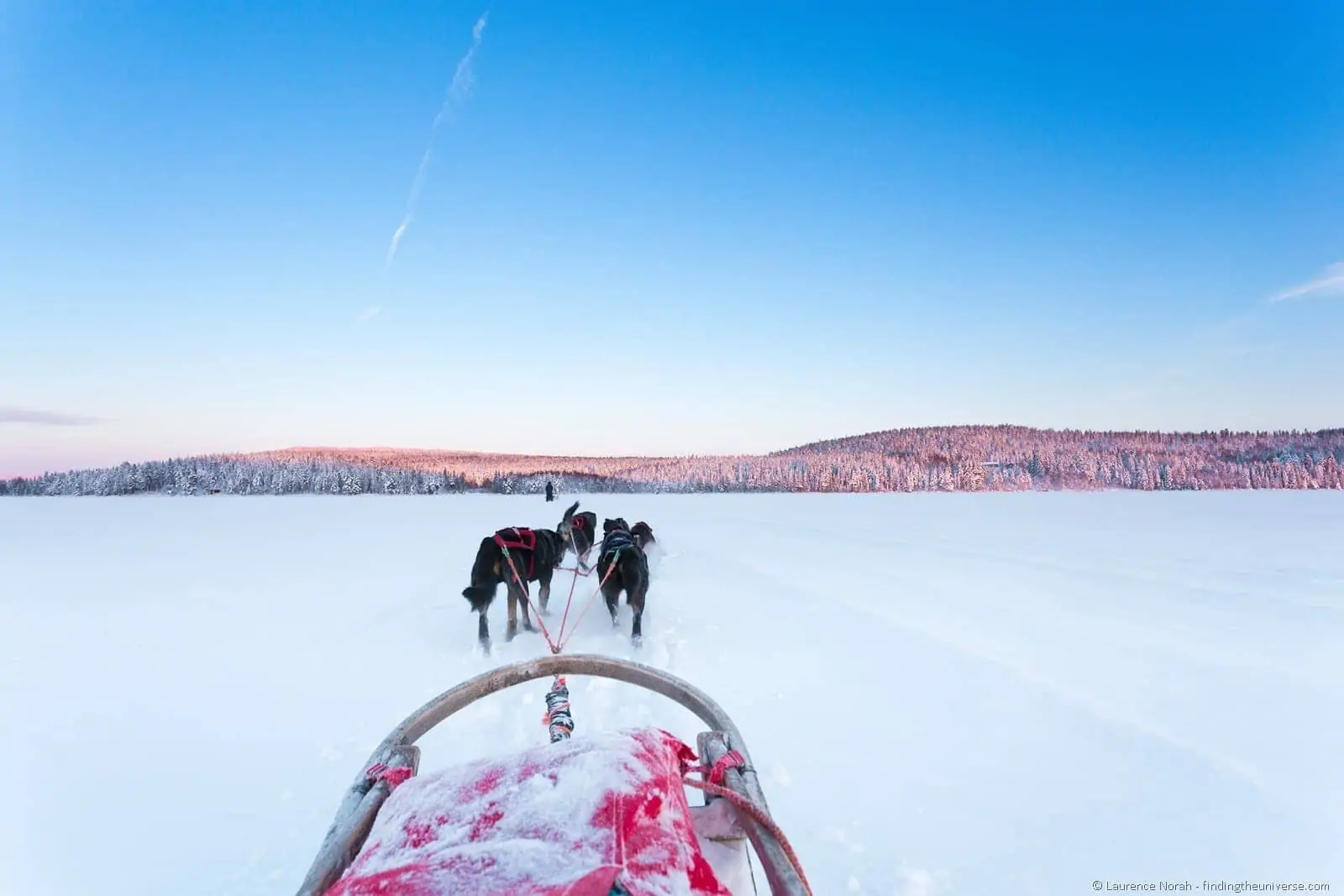 view from husky sled finland