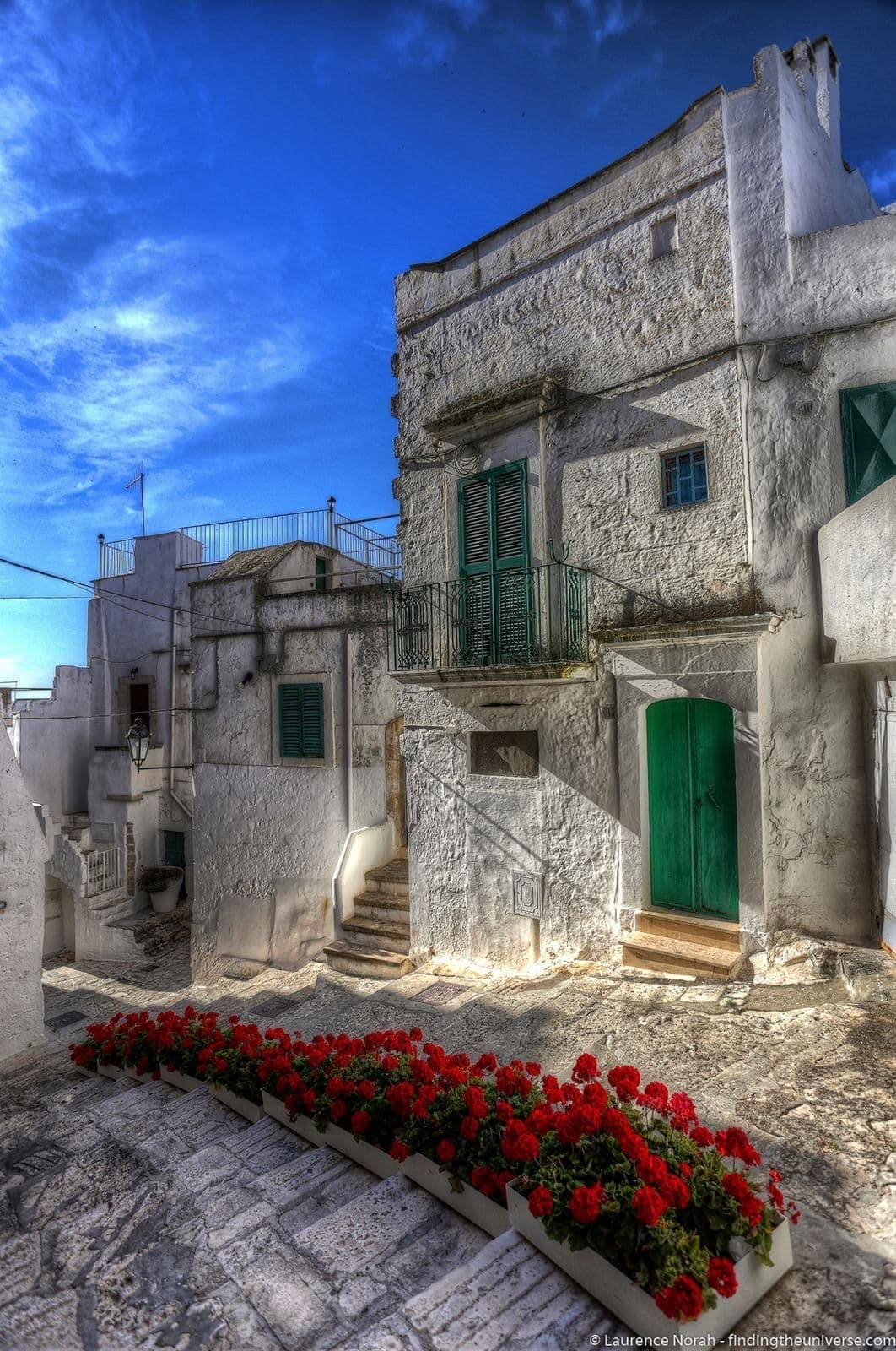 Red roses white city ostuni - scaled