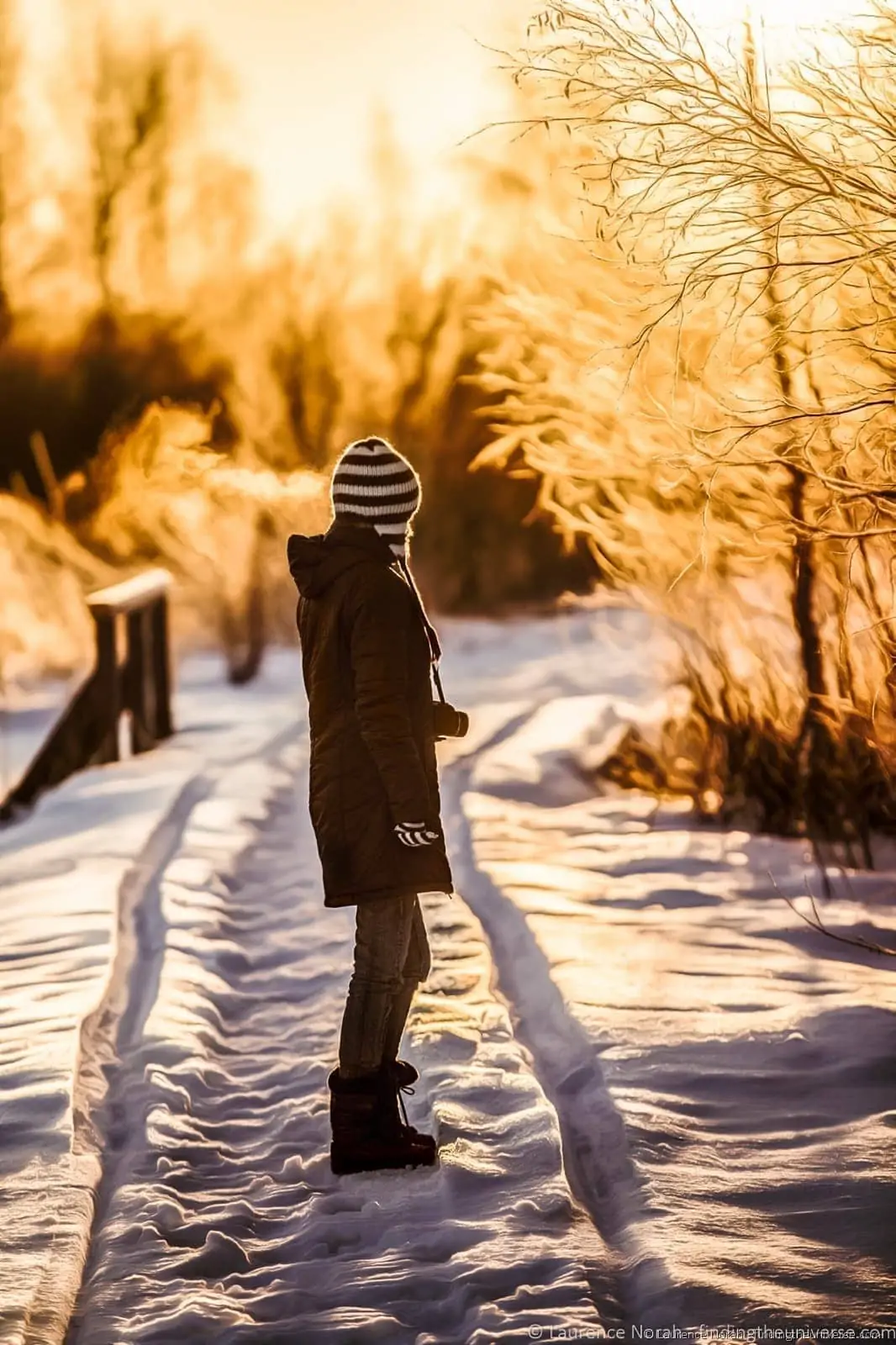 girl in snow girl in snow