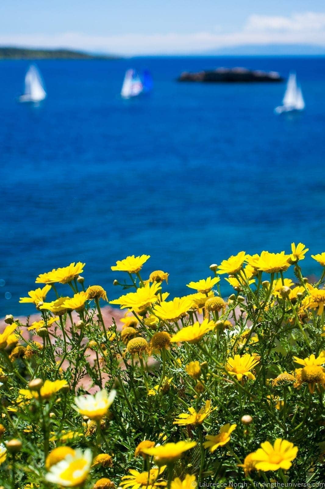 yachts and flowers greece