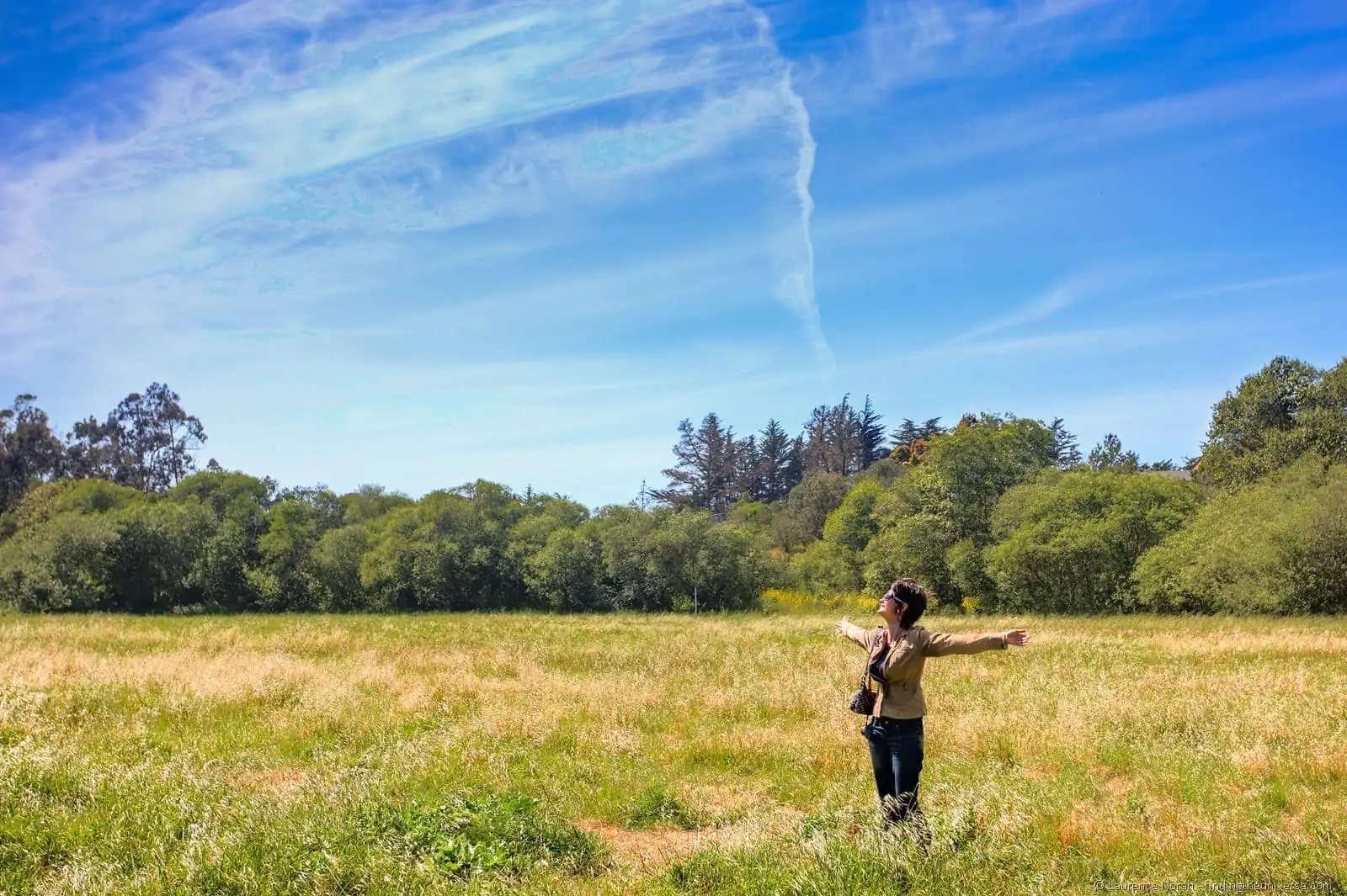 Jess in field Fiscalini preserve Cambria California