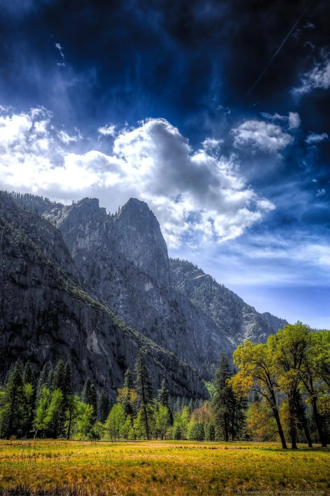 Yosemite Valley plains