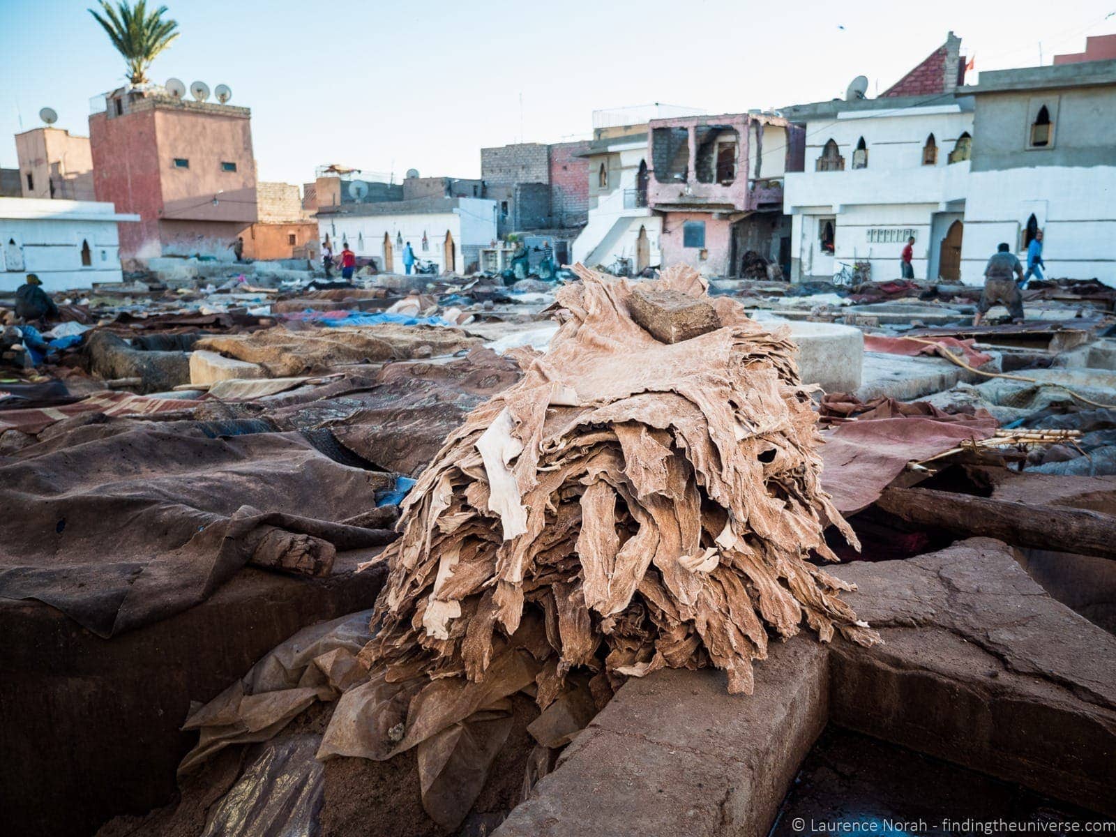 Skins in Marrakesh tannery