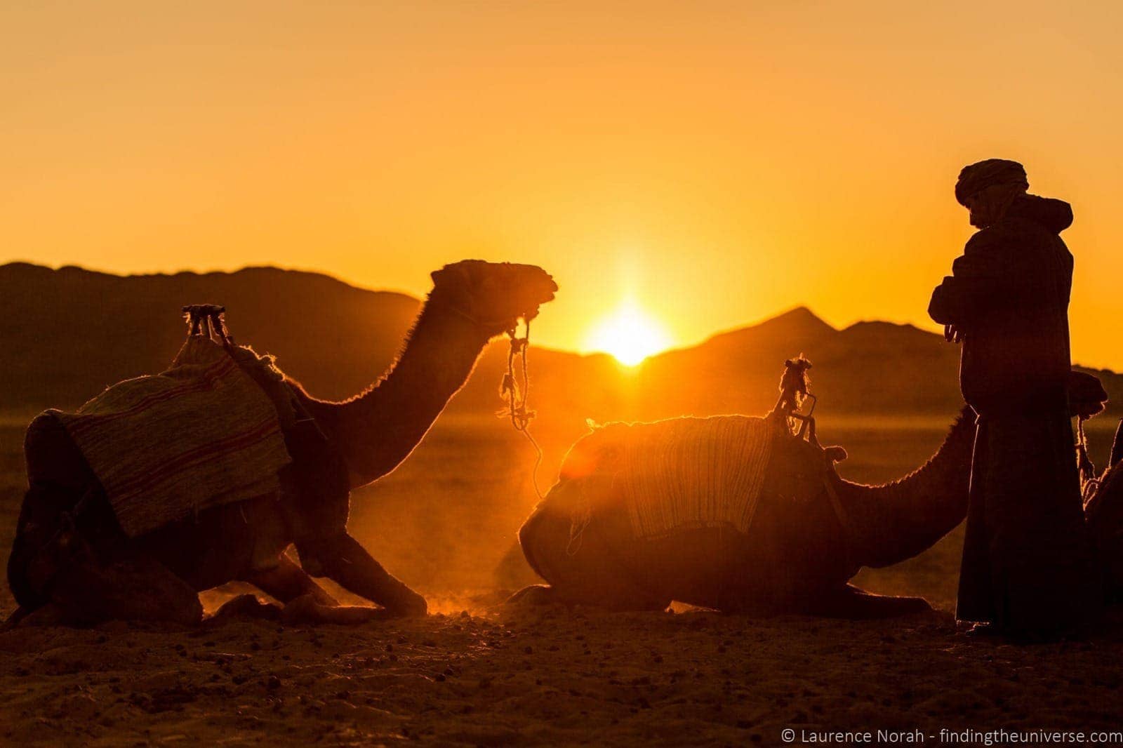 Camel252520silhouette252520Morocco_by_Laurence252520Norah25255B425255D