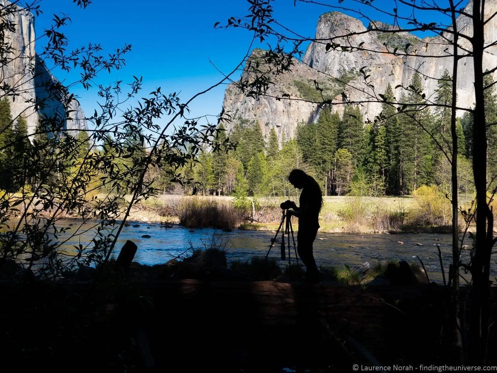 Laurence silhouette yosemite veo