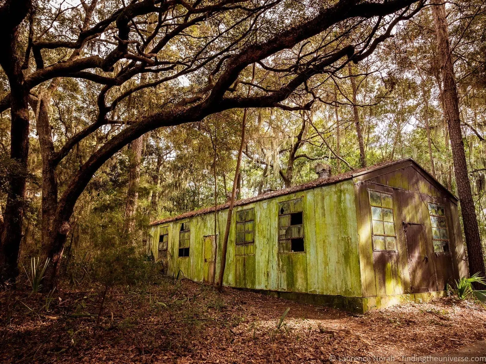 Oatland Island Wildlife Center near Savannah Georgia