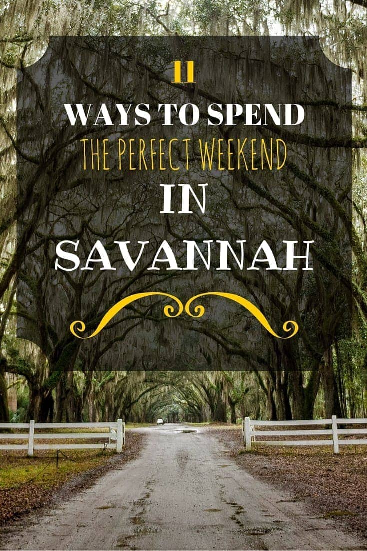 What to do in Savannah, Georgia, from exploring the historic district to meeting mountain lions!