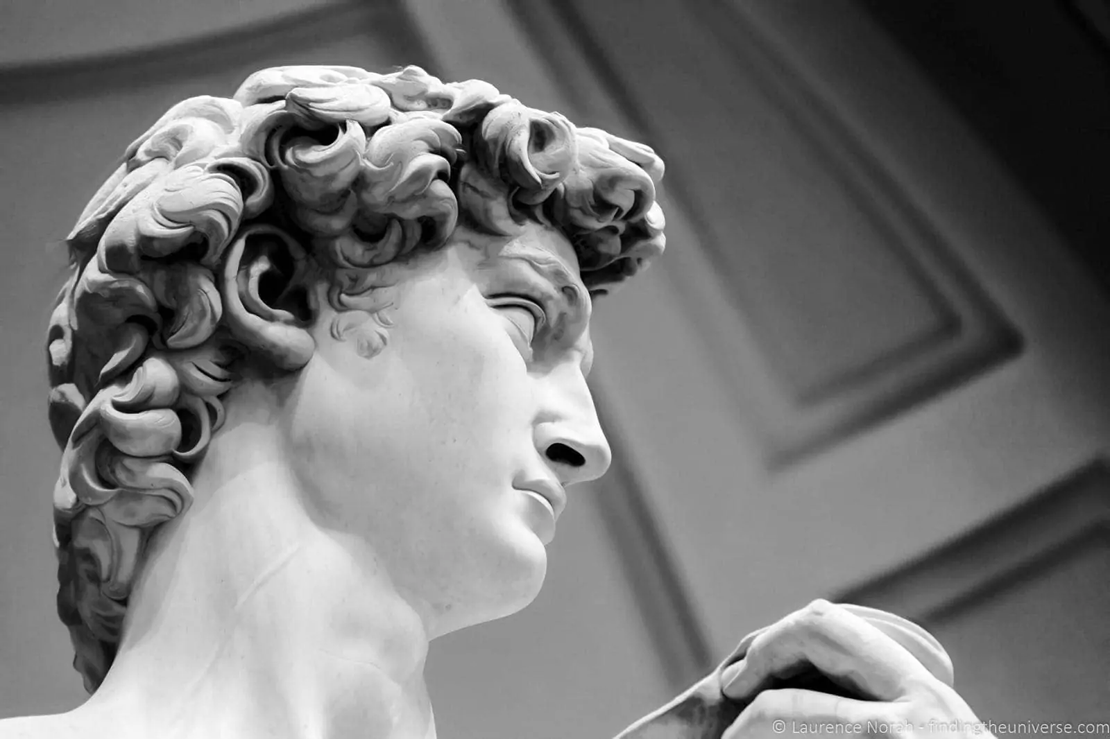 2 Days in Florence - David statue close up