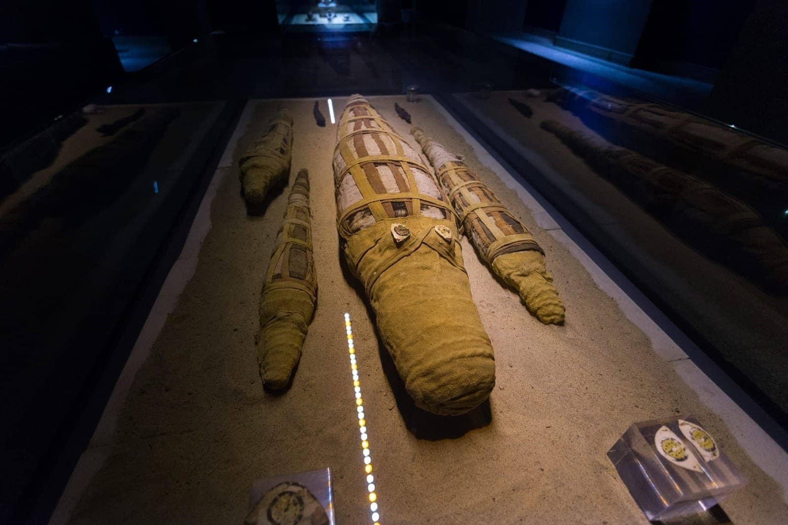 Crocodile mummy museum Egypt