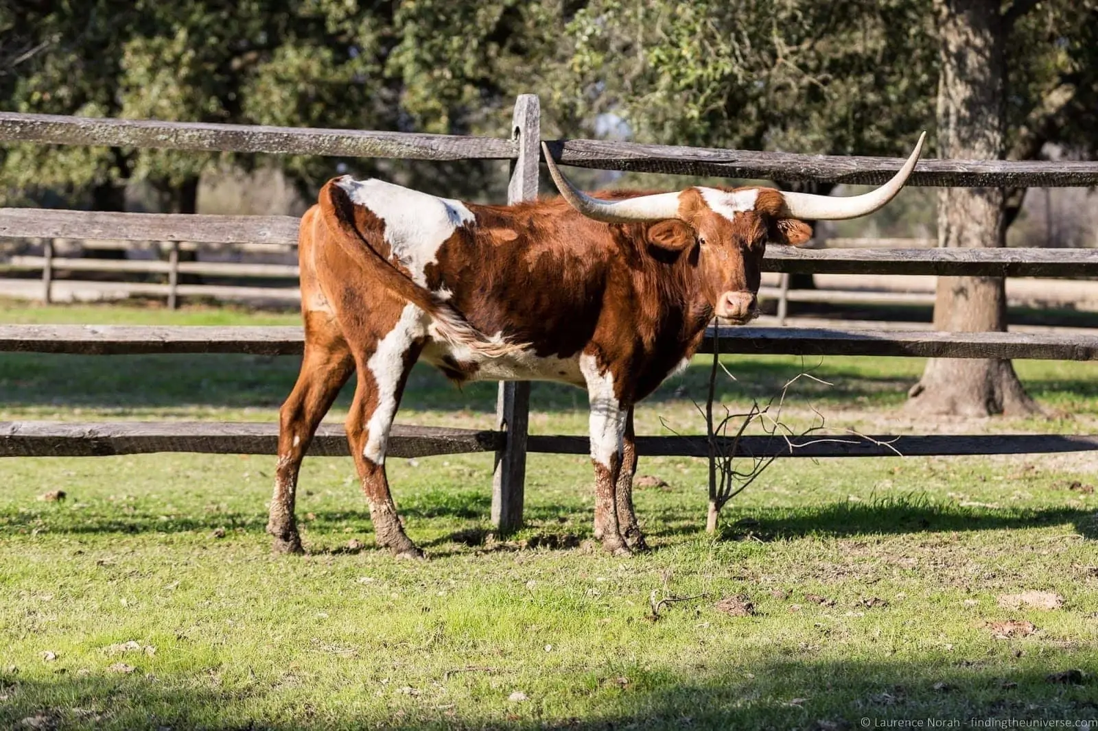 LSU Rural Life Museum Baton Rouge