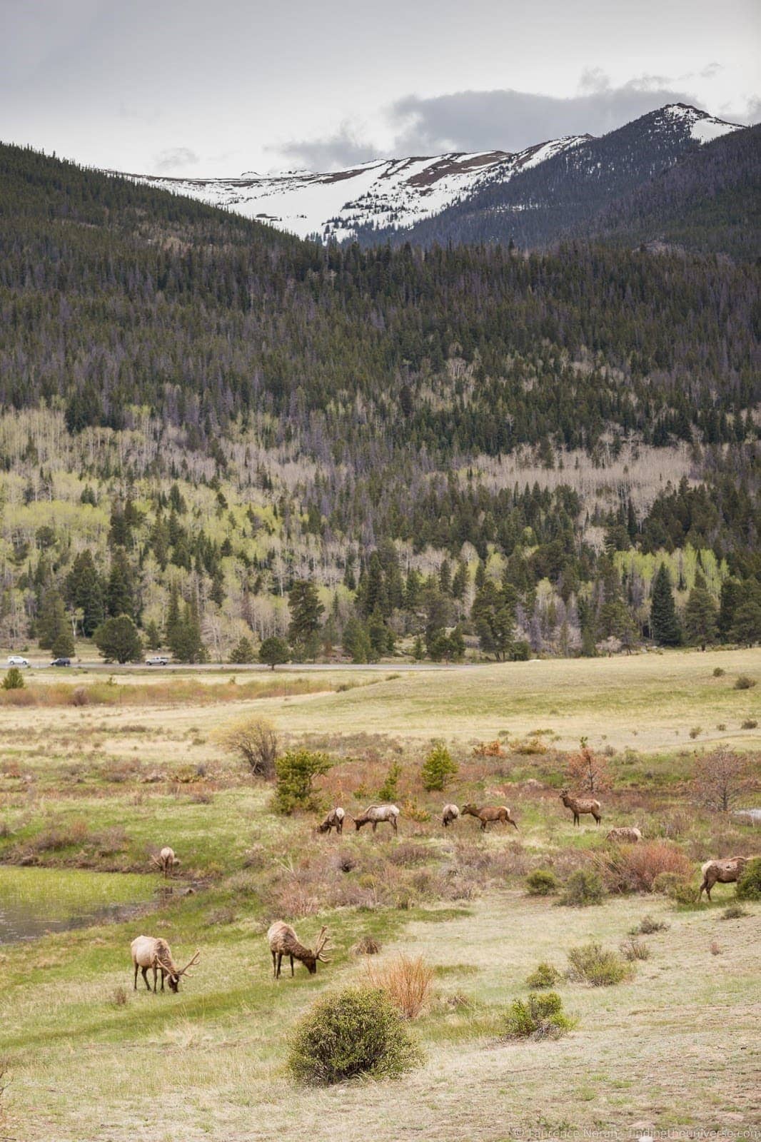 Rocky Mountain National Park Sheep Lakes 