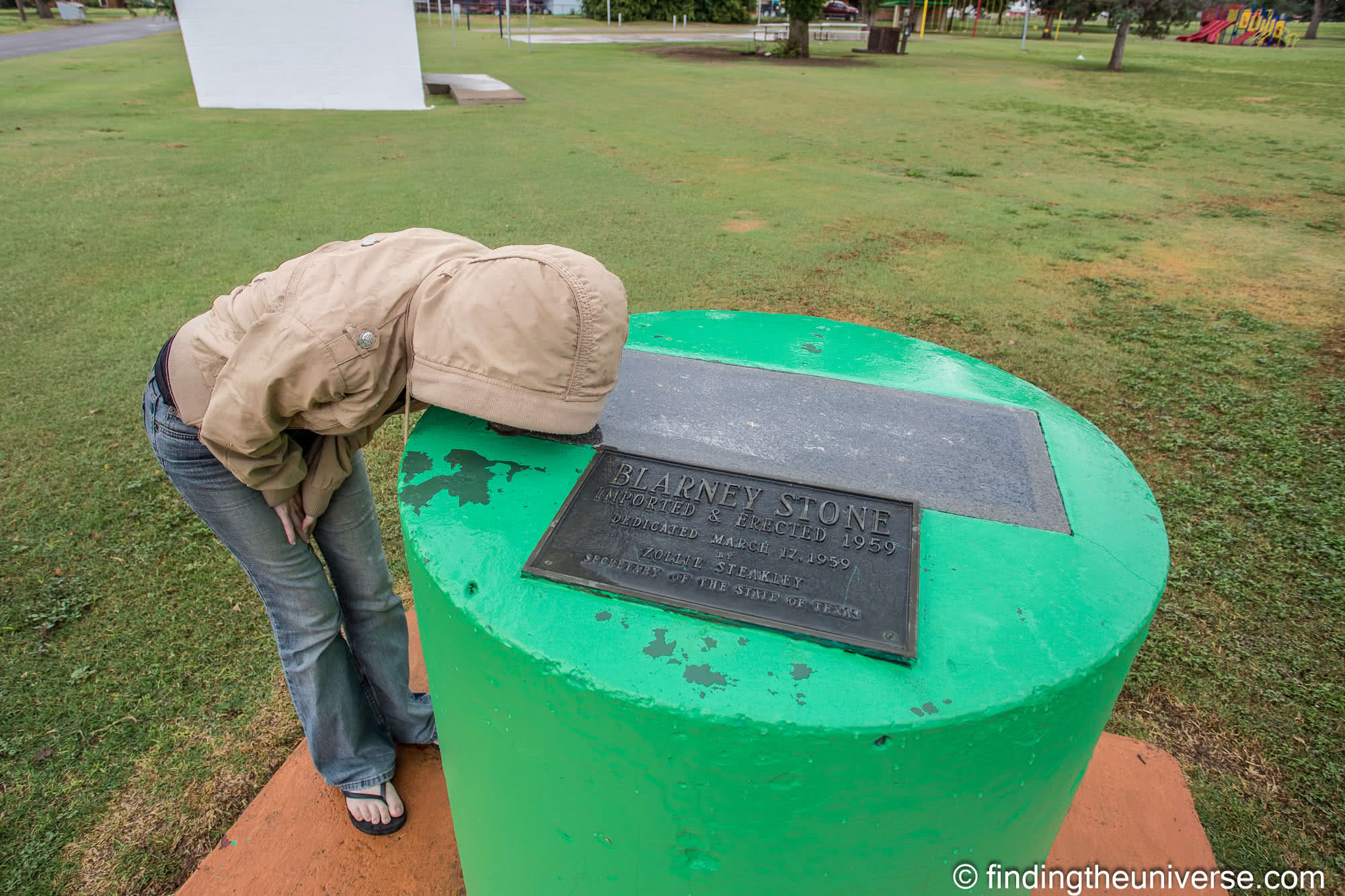 Blarney Stone Shamrock Texas by Laurence Norah