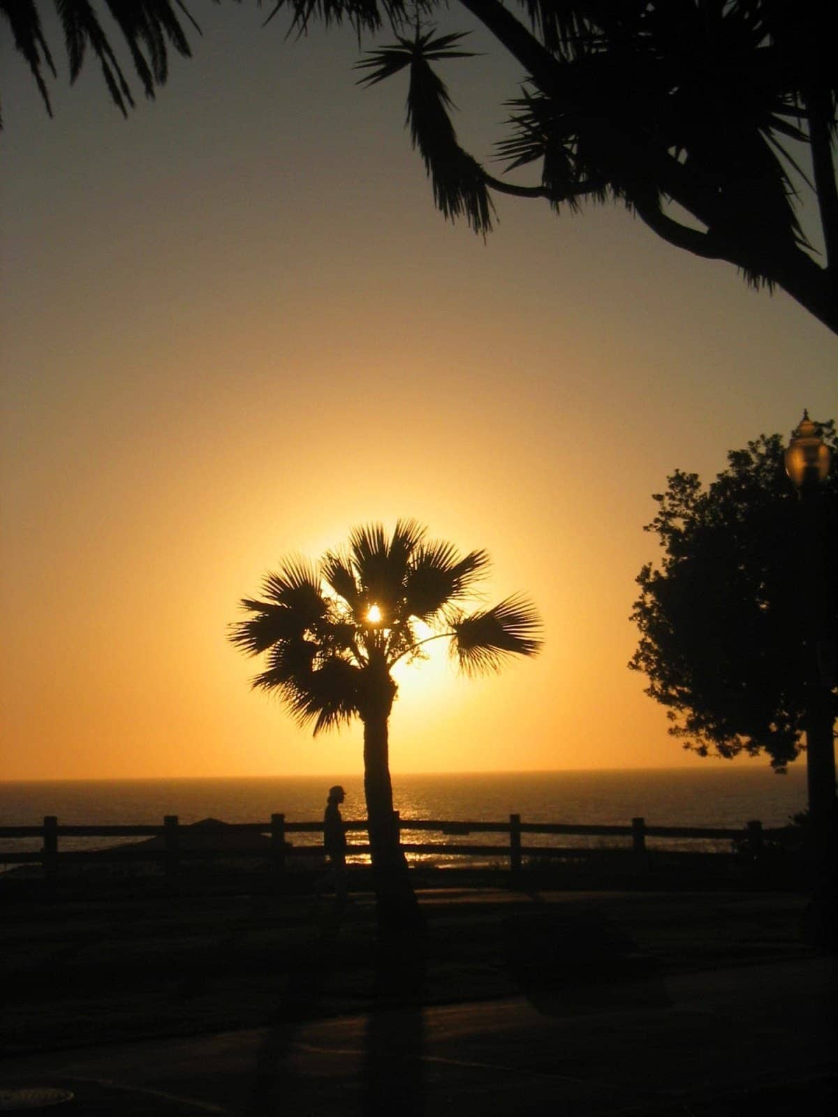 santa monica sunset