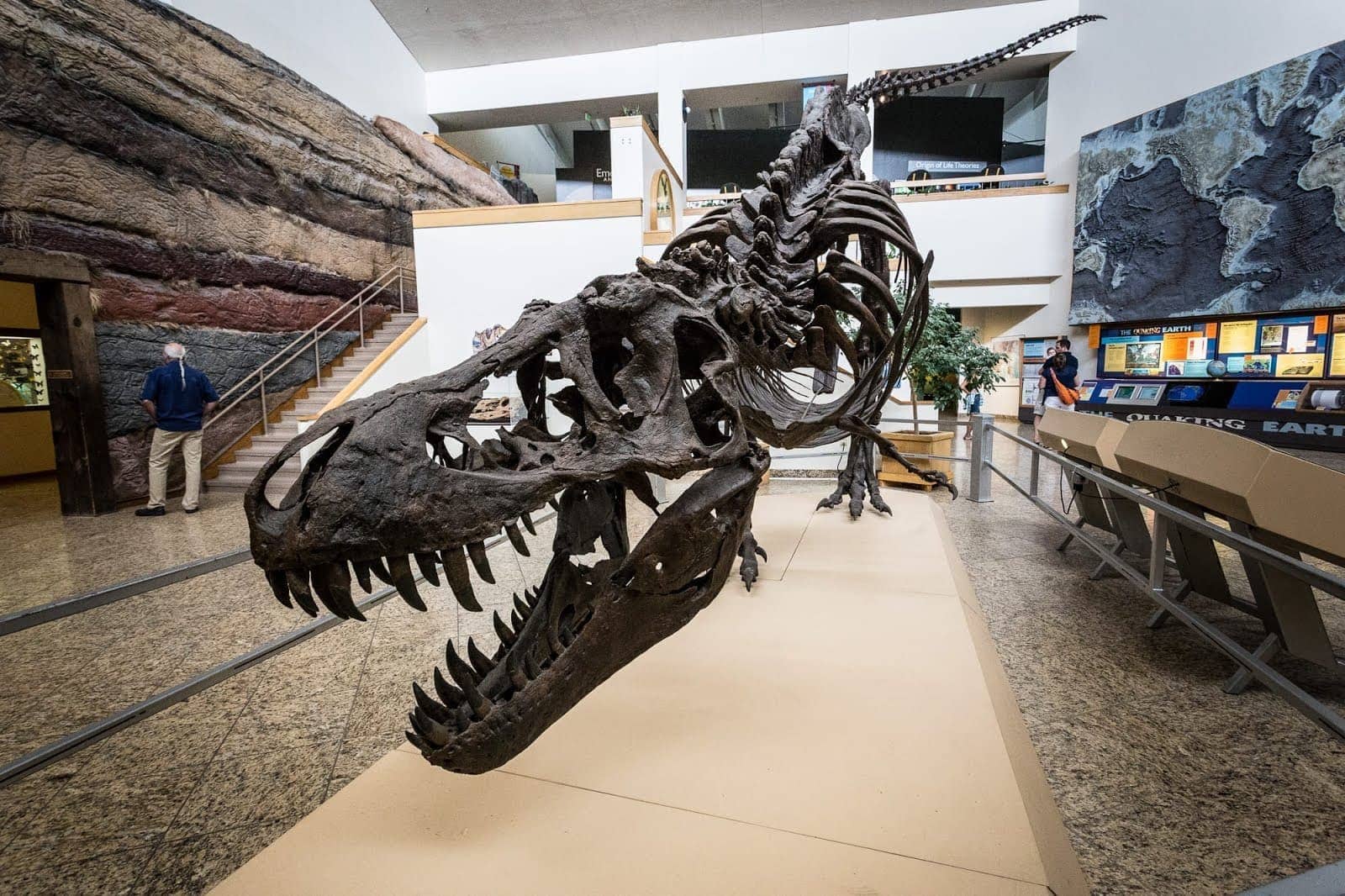 Dinosaur Albuquerque Natural HIstory Museum_by_Laurence Norah Dinosaur Albuquerque Natural HIstory Museum_by_Laurence Norah