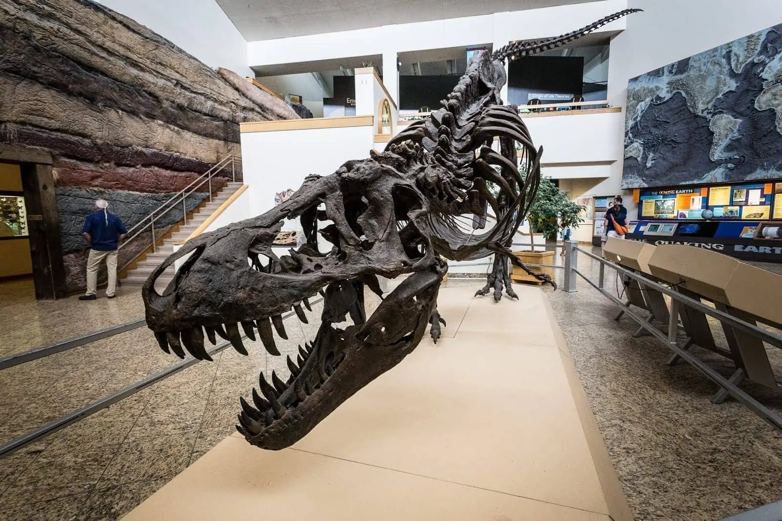 Dinosaur Albuquerque Natural HIstory Museum_by_Laurence Norah Dinosaur Albuquerque Natural HIstory Museum_by_Laurence Norah