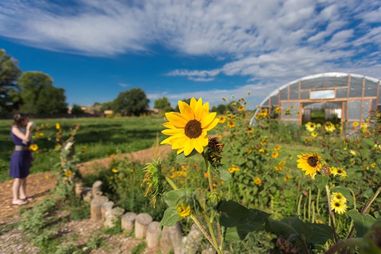 Farm and table Albuquerque_by_Laurence Norah