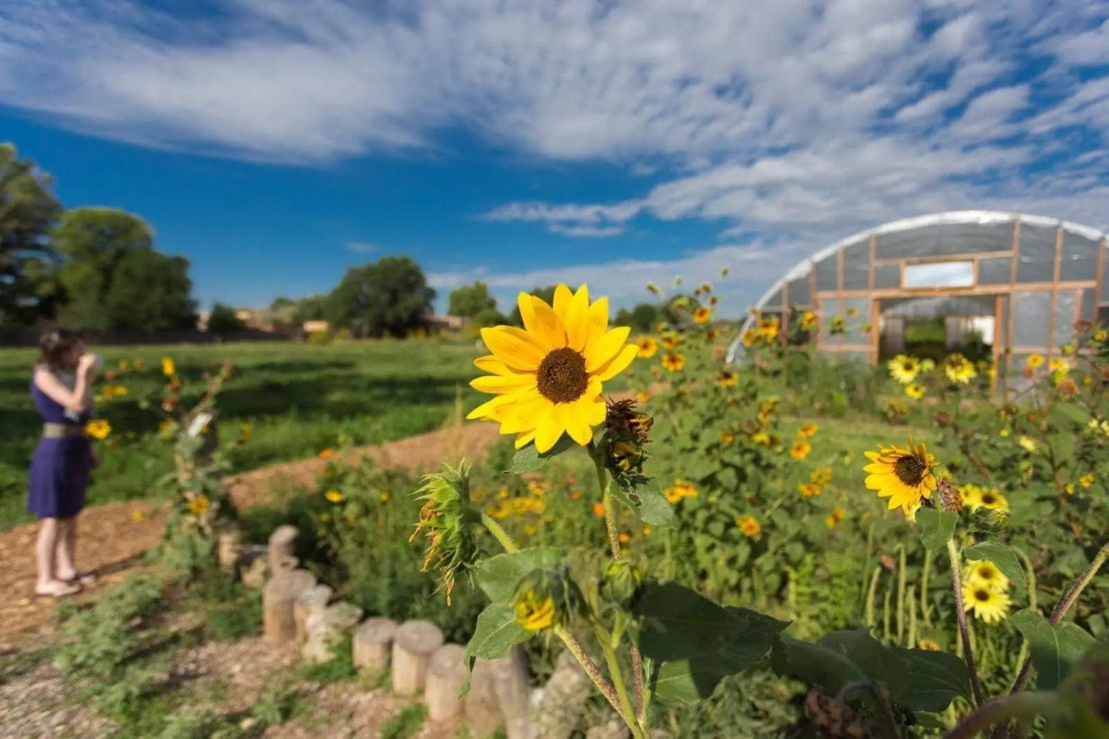 Farm and table Albuquerque_by_Laurence Norah Farm and table Albuquerque_by_Laurence Norah