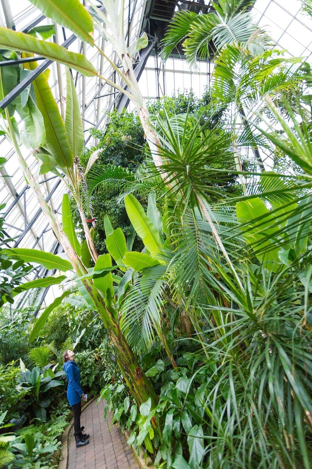 Muttart Conservatory Edmonton by Laurence Norah-11