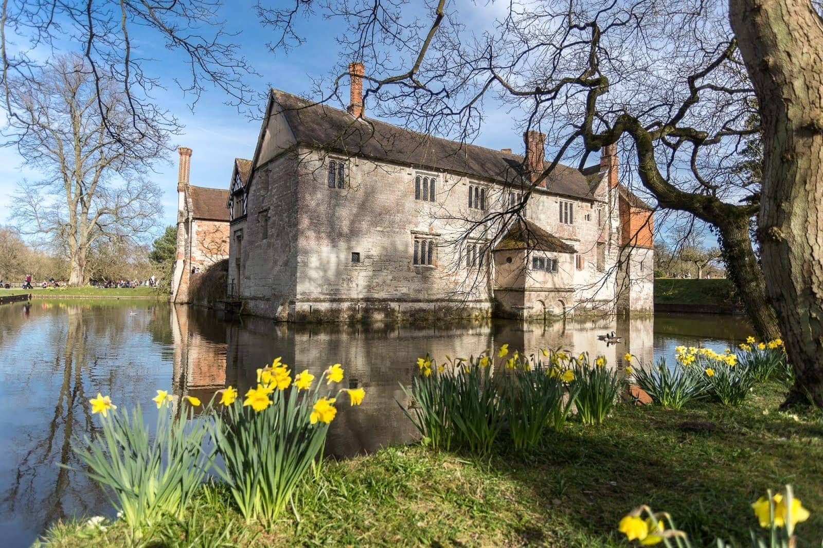  Baddesley Clinton Moated Manor House Daffodils UK by Laurence Norah