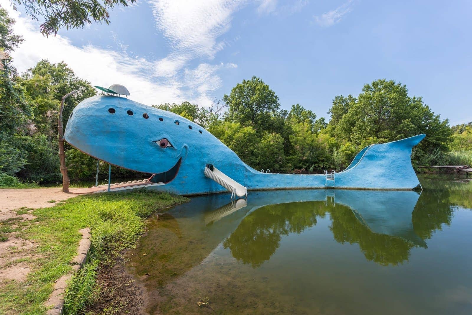 Blue whale route 66 USA_by_Laurence Norah