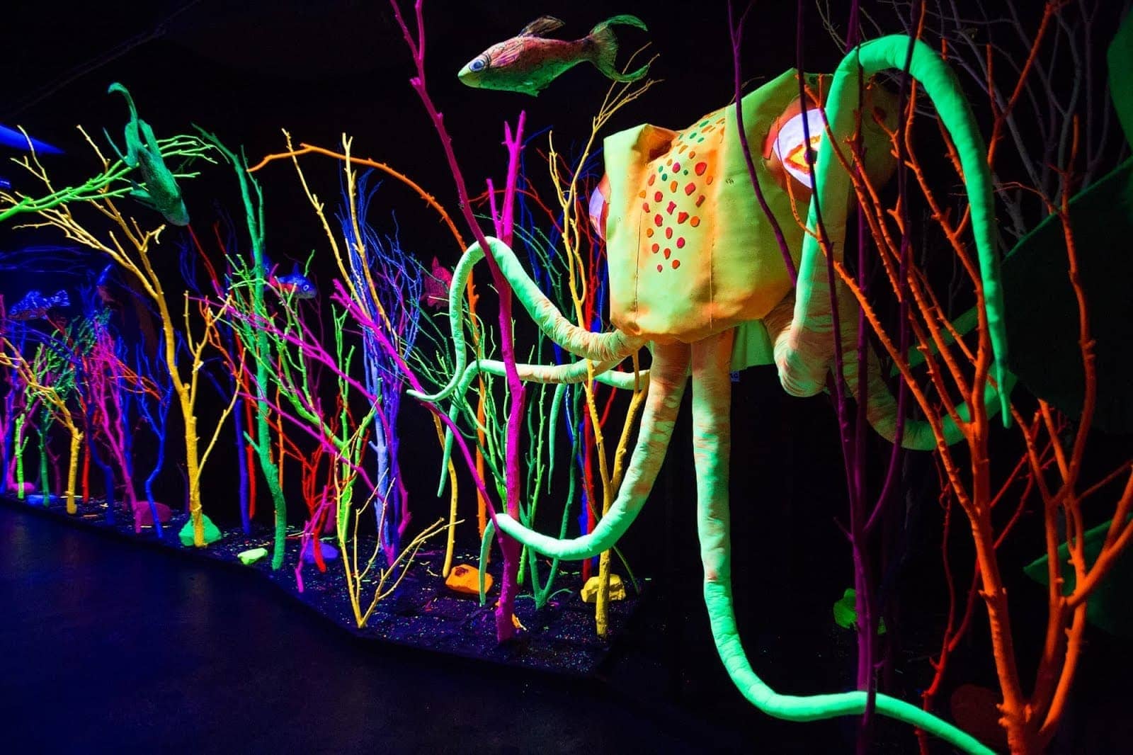 Meow Wolf Santa Fe New Mexico by Laurence Norah-5