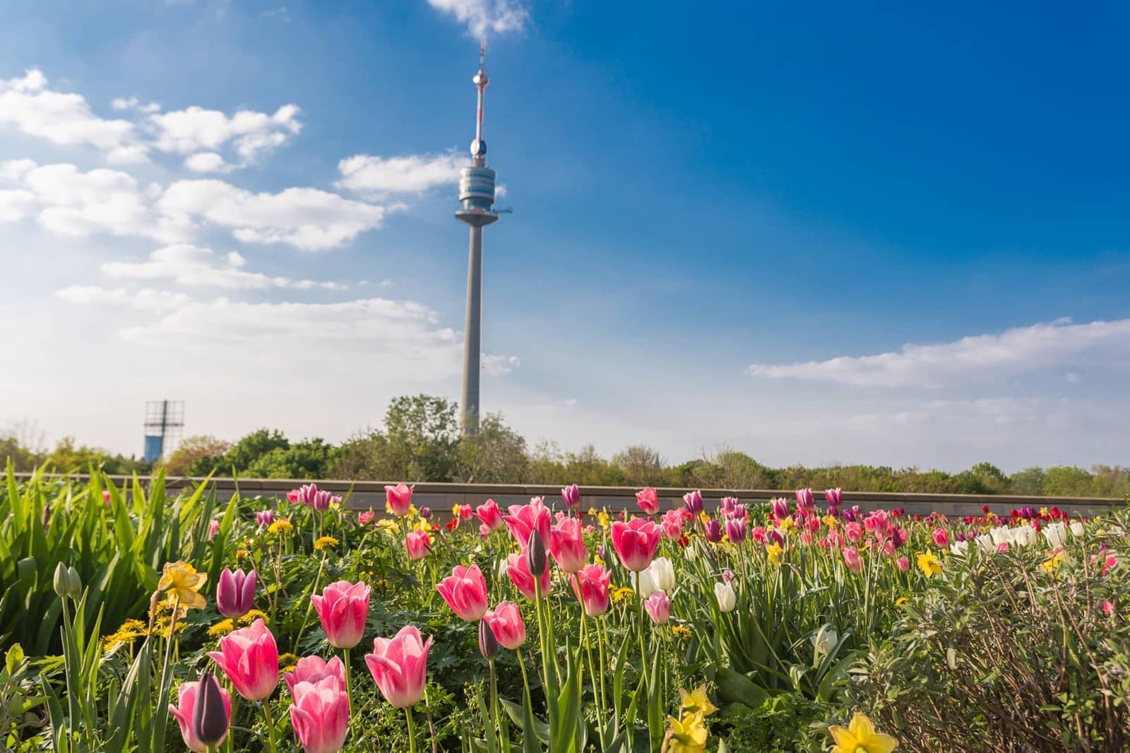 Danube Tower Vienna