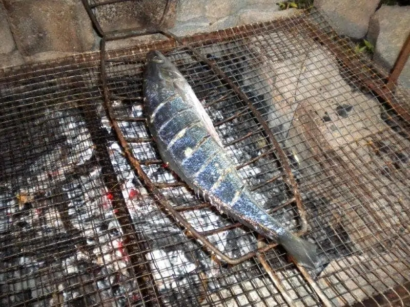 Grilled Fish 2