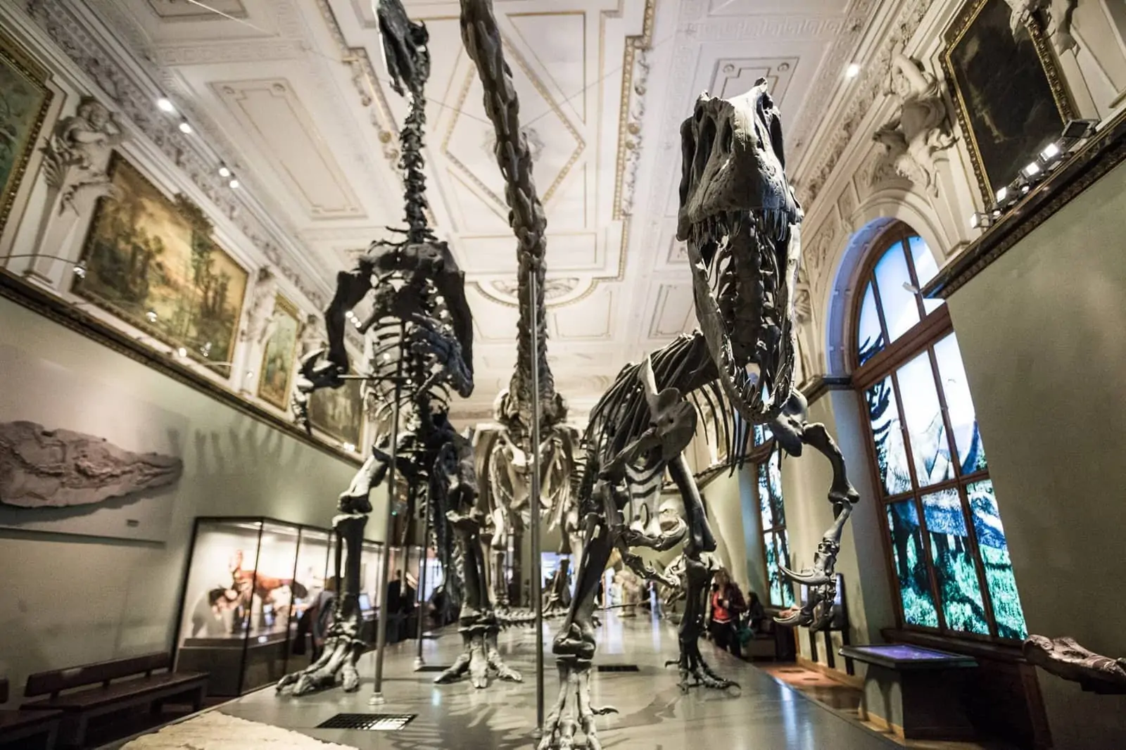 Vienna Natural HIstory Museum