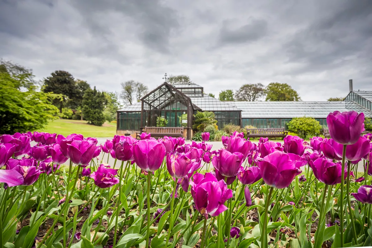 Glasgow Botanical Gardens