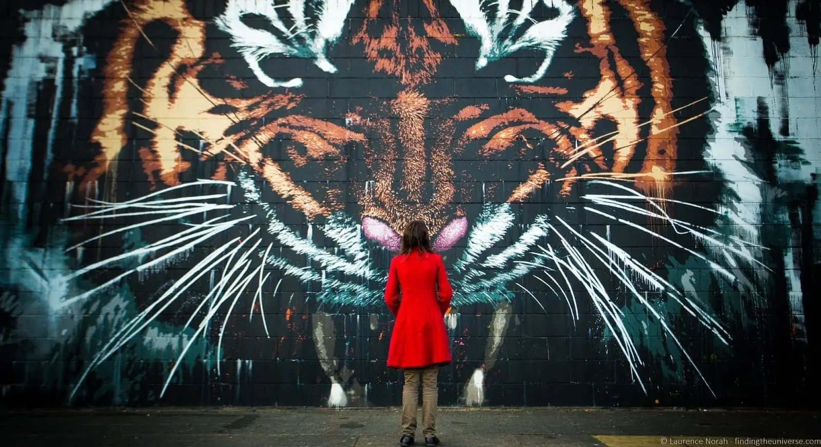 A large street art mural of a tiger on the side of a Glasgow building